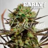 DELICIOUS CANDY EARLY VERSION · Delicious · cannabis samen · Fem
