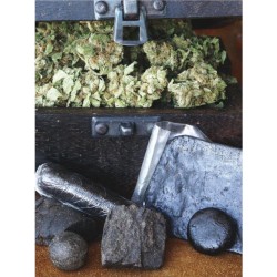HASHBERRY · Mandala Seeds · graines de cannabis - Reg
