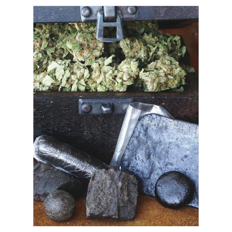 HASHBERRY · Mandala Seeds · sementes de maconha - Reg