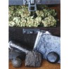 HASHBERRY · Mandala Seeds · sementes de maconha - Reg