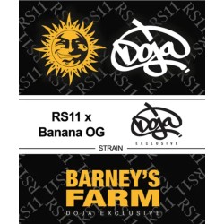 RS11 X BANANA OG · Barneys Farm · graines de cannabis · Fem