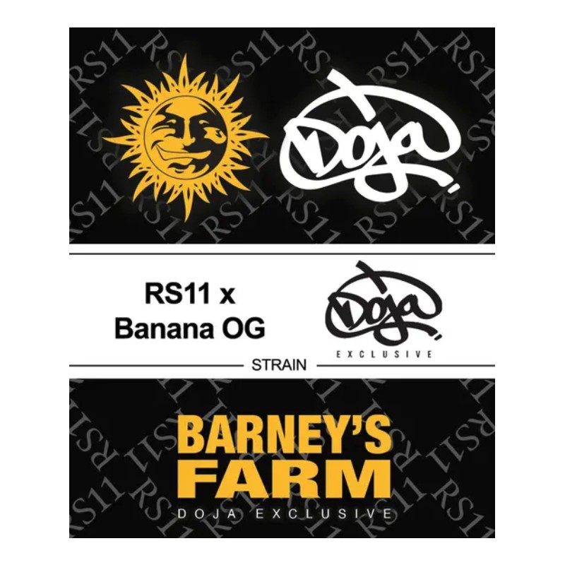 RS11 X BANANA OG · Barneys Farm · graines de cannabis · Fem