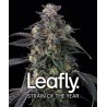SUPER BOOF · Barneys Farm · kenevir tohum · Disi · Fem