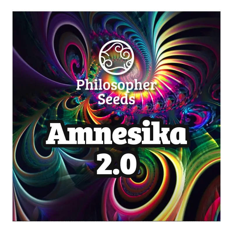 AMNESIKA 2.0 · Philosopher Seeds · sementes de maconha · Fem