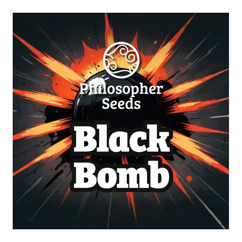BLACK BOMB · Philosopher Seeds · sementes de maconha · Fem