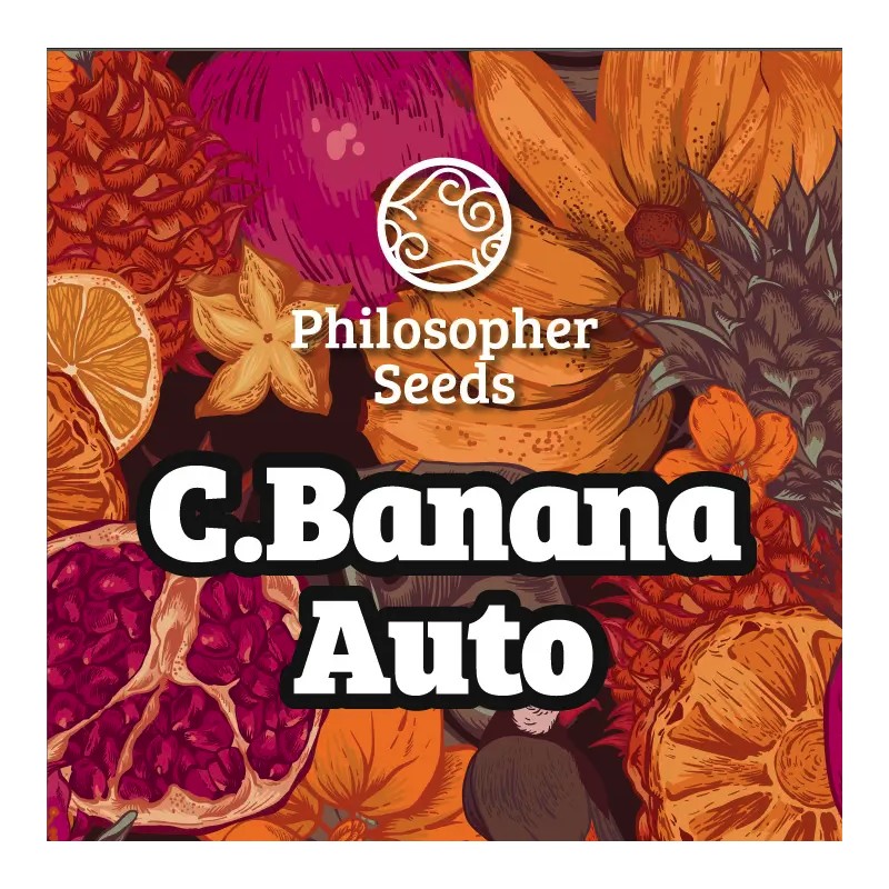 C BANANA AUTO · Philosopher Seeds · graines de cannabis · AutoFem