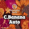 C BANANA AUTO · Philosopher Seeds · cannabis seeds · AutoFem