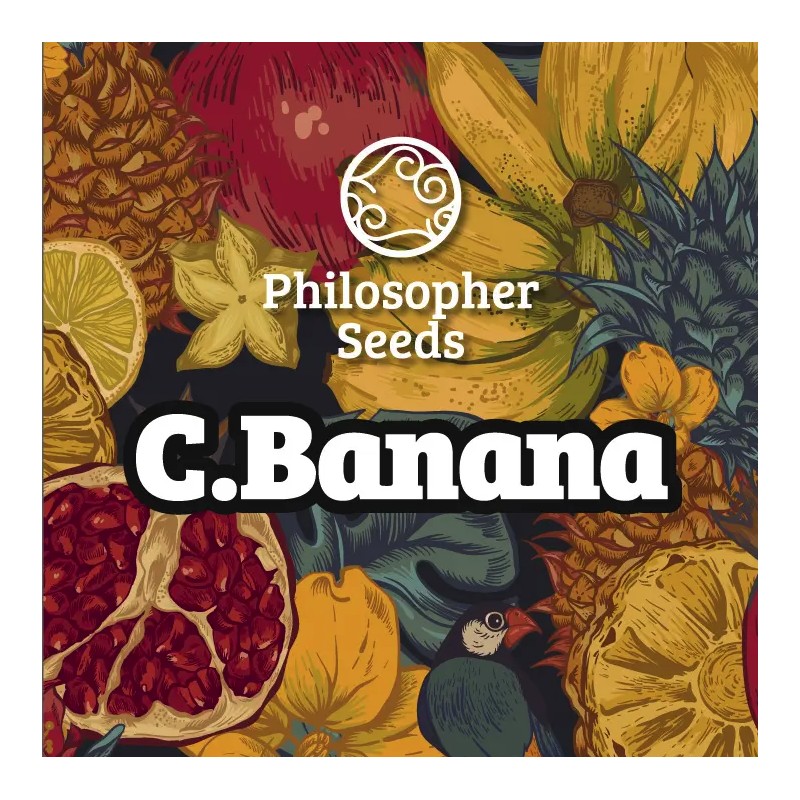 C BANANA · Philosopher Seeds · kaufen cannabis samen · Fem