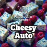 CHEESY AUTO · Philosopher Seeds · cannabis samen · Auto Fem
