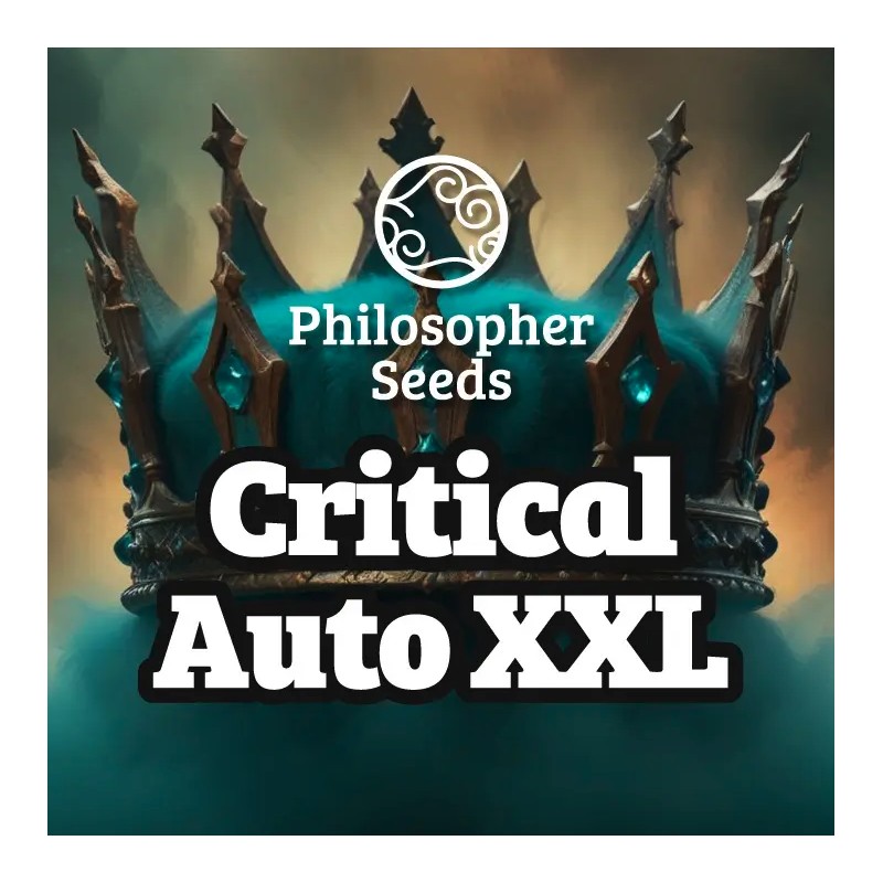 CRITICAL AUTO XXL · Philosopher Seeds · graines de cannabis · AutoFem