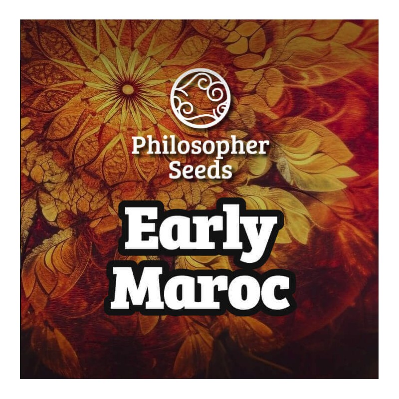 EARLY MAROC · Philosopher Seeds · kaufen cannabis samen · Fem