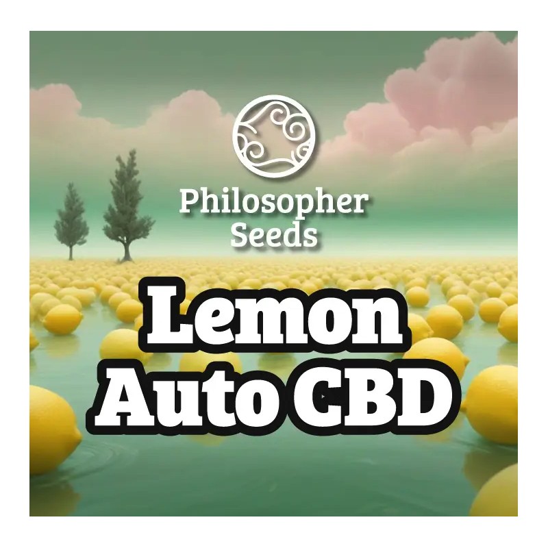 LEMON AUTO CBD · Philosopher Seeds · sementes de maconha · Auto Fem