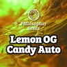 LEMON OG CANDY AUTO · Philosopher Seeds · kaufen cannabis samen · AutoFem