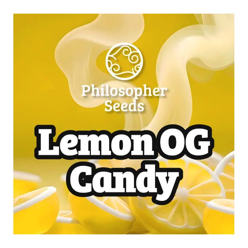 LEMON OG CANDY · Philosopher Seeds · sementes de maconha · Fem