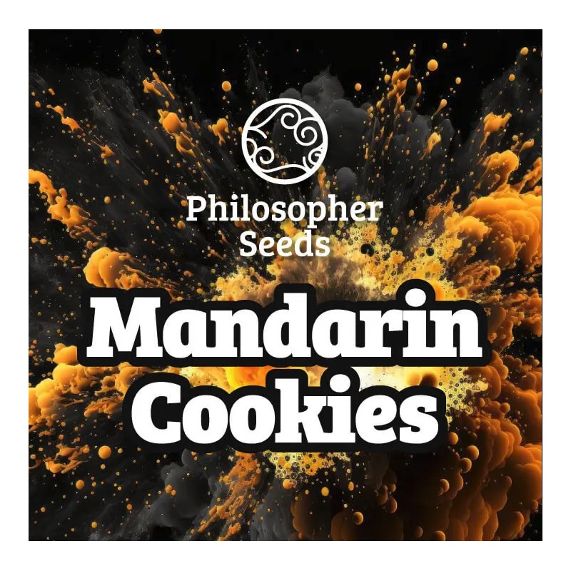 MANDARINE COOKIES · Philosopher Seeds · sementes de maconha · Fem