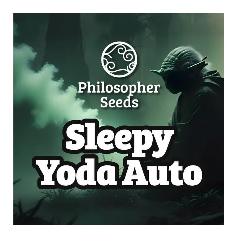 SLEEPY YODA AUTO · Philosopher Seeds · sementes de maconha · Auto Fem