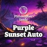 PURPLE SUNSET AUTO · Philosopher Seeds · kaufen cannabis samen · AutoFem