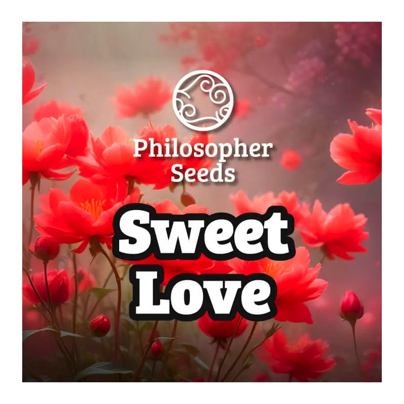 SWEETLOVE · Philosopher Seeds · graines de cannabis · Fem