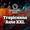 TROPICANNA AUTO XXL · Philosopher Seeds · kaufen cannabis samen · AutoFem