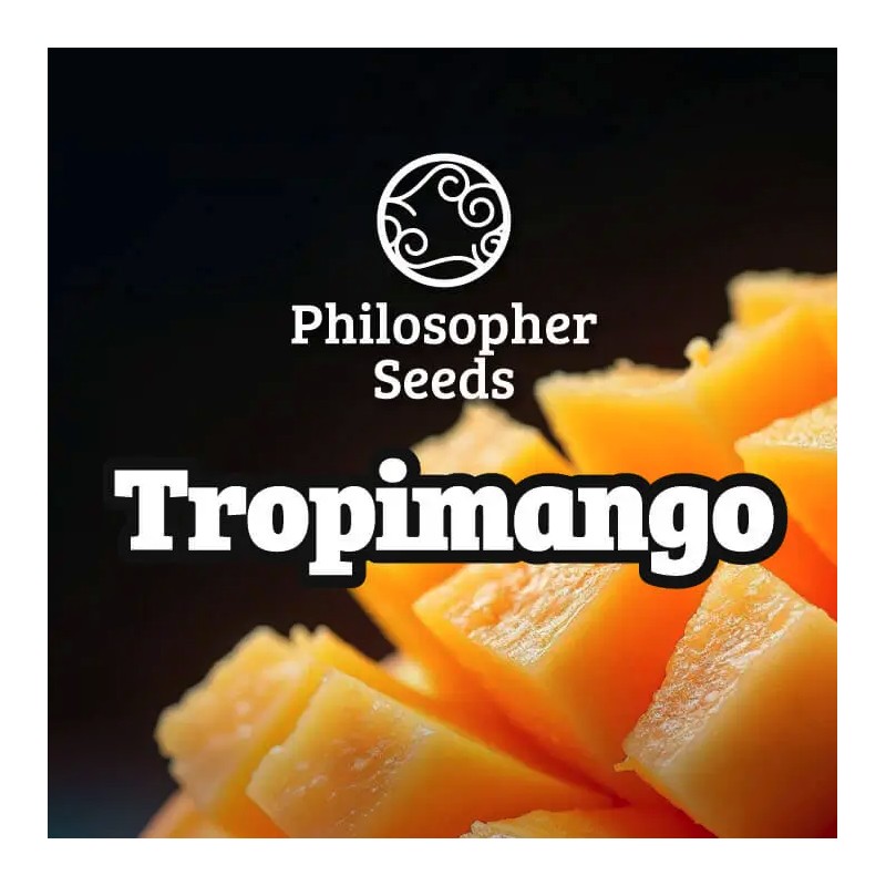 TROPIMANGO · Philosopher Seeds · sementes de maconha · Fem