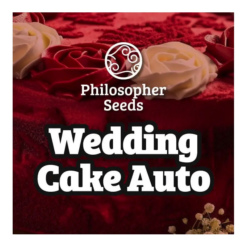 WEDDING CAKE AUTO · Philosopher Seeds · graines de cannabis · AutoFem