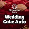 WEDDING CAKE AUTO · Philosopher Seeds · sementes de maconha · AutoFem
