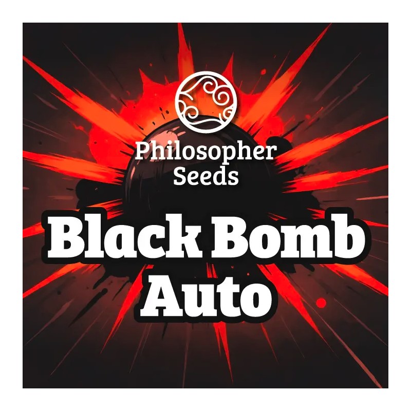 BLACK BOMB AUTO · Philosopher Seeds · cannabis seeds · AutoFem