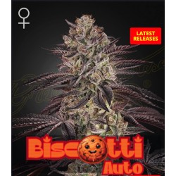 BISCOTTI AUTO · Green House...