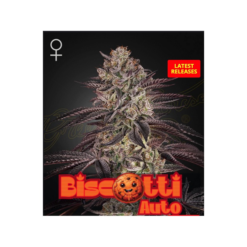 BISCOTTI AUTO · Green House Seeds · cannabis seeds · AutoFem