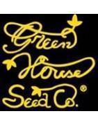 Greenhouse Seeds: The Whole Range of Cannabis Seeds