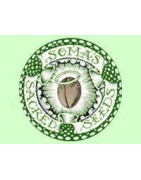 Soma Seeds