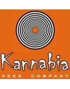 Kannabia Seed Company