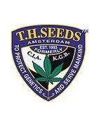 T.H Seeds Regular