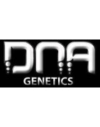 Dna Genetics