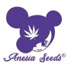 Anesia Seeds